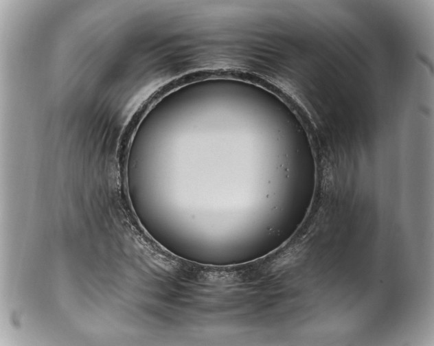 X0000102250927200807251318