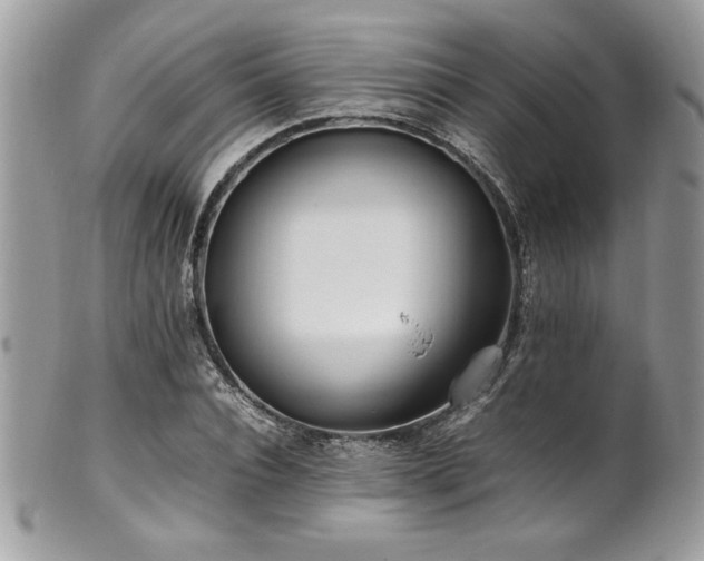 X0000102250928200807251318