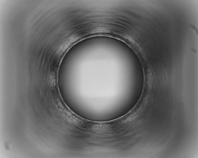X0000102250929200807251318