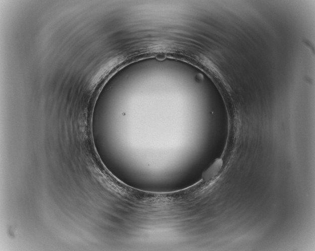 X0000102250930200807251319