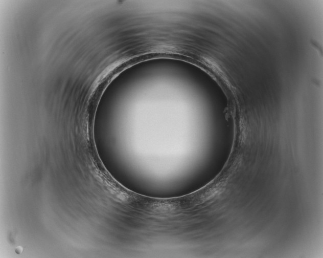 X0000102250931200807251319