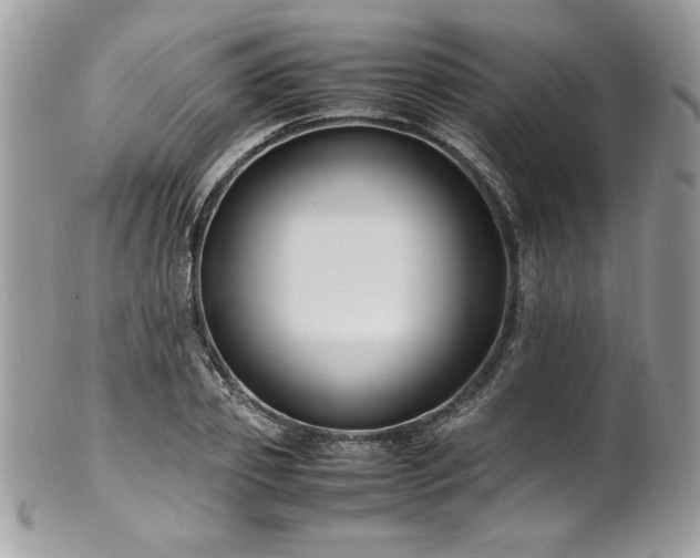 X0000102250933200807251319