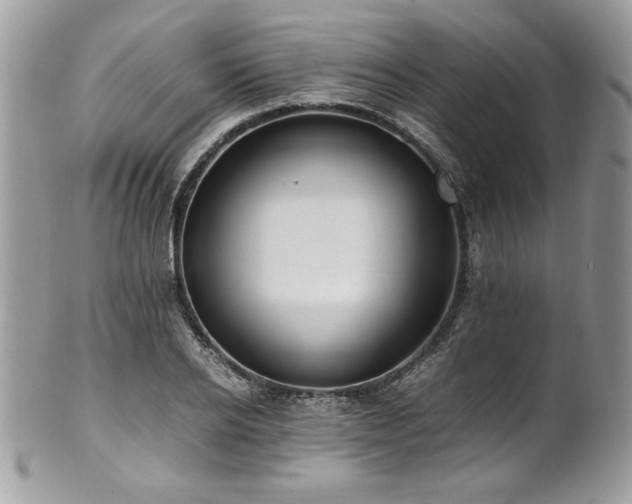 X0000102250934200807251319