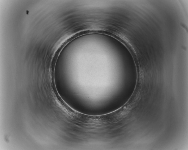 X0000102250935200807251319
