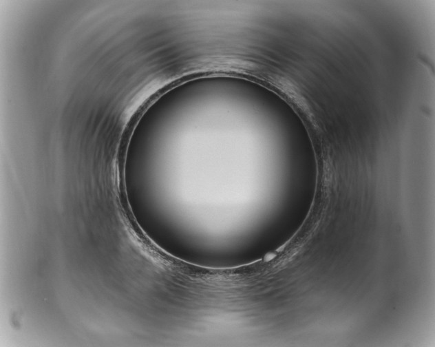 X0000102250936200807251319