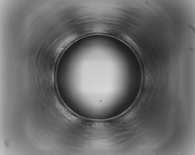 X0000102250938200807251319