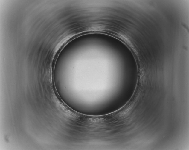 X0000102250939200807251319