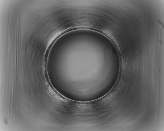 X0000102250941200807251319