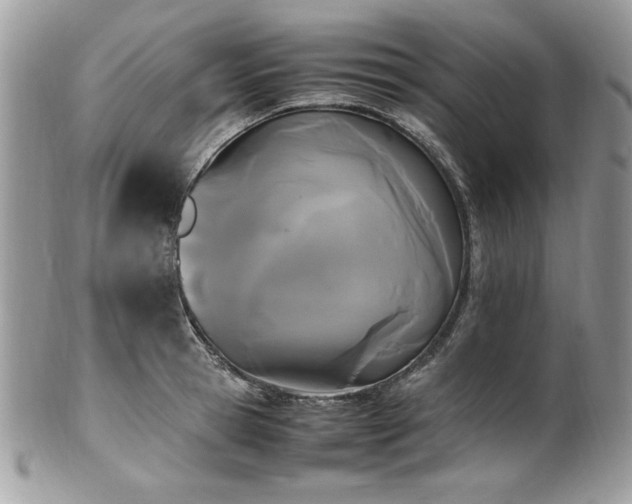 X0000102250945200807251319