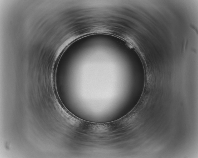 X0000102250947200807251319