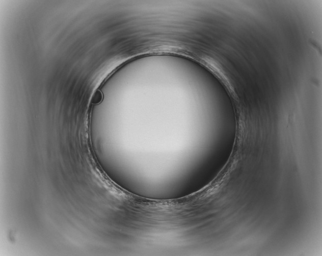 X0000102250948200807251319