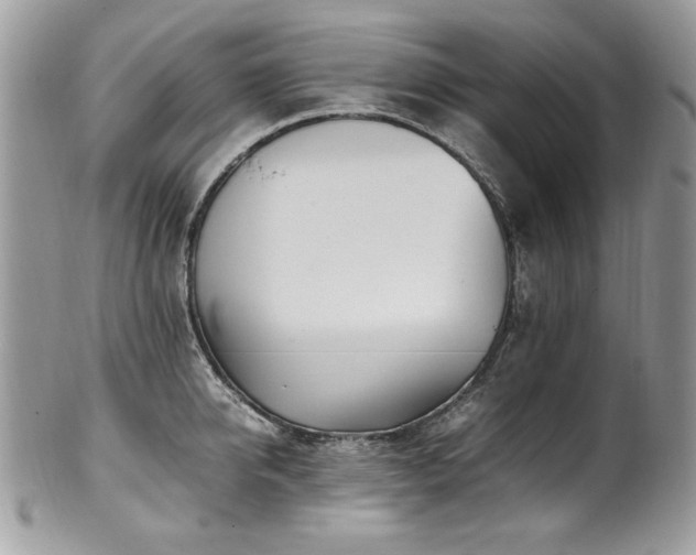 X0000102250950200807251319