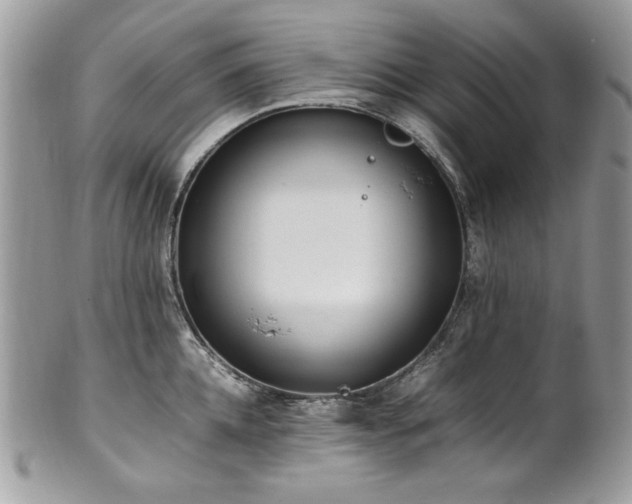 X0000102250952200807251319