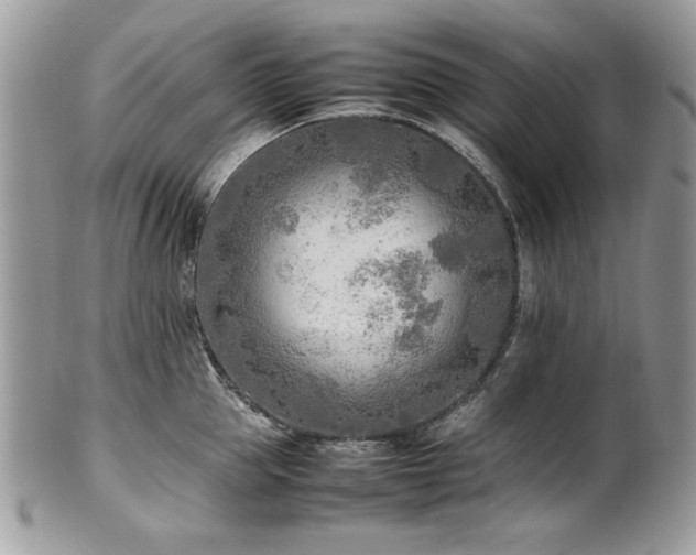 X0000102250953200807251319