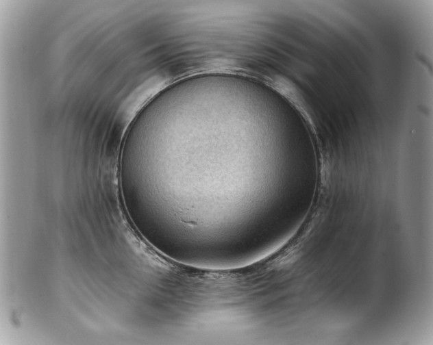 X0000102250954200807251319