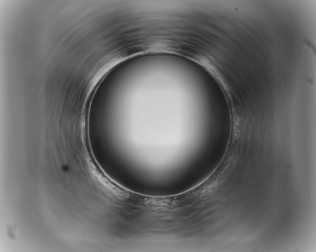 X0000102250955200807251319