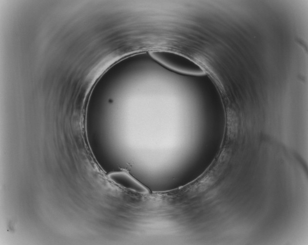 X0000102250956200807251319