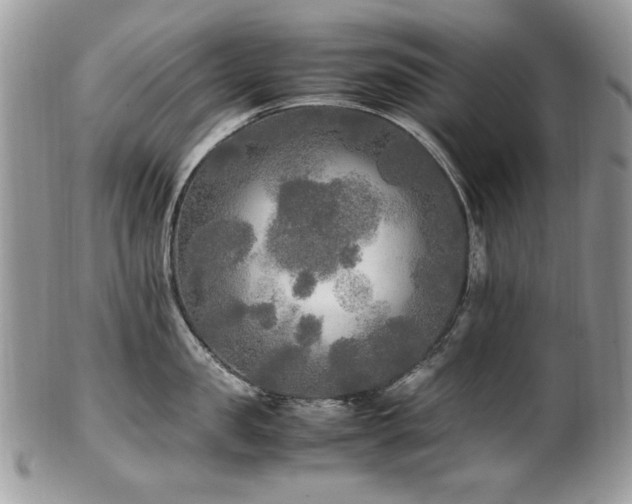 X0000102250957200807251319