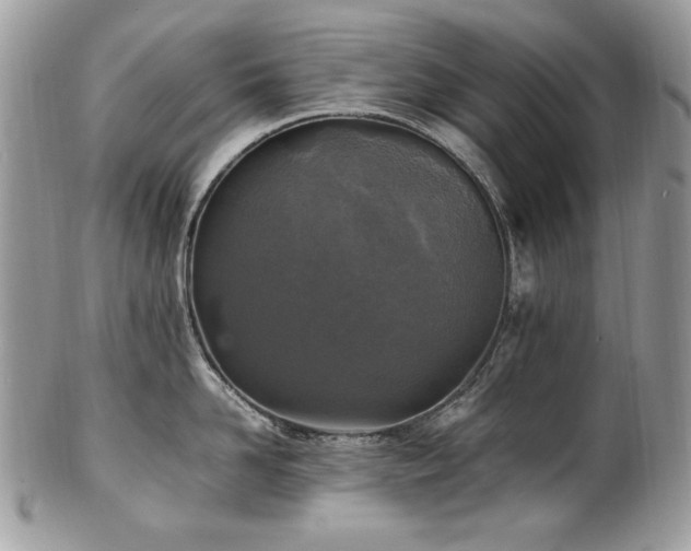 X0000102250958200807251319