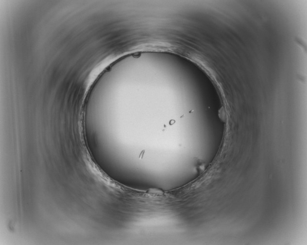 X0000102250960200807251319