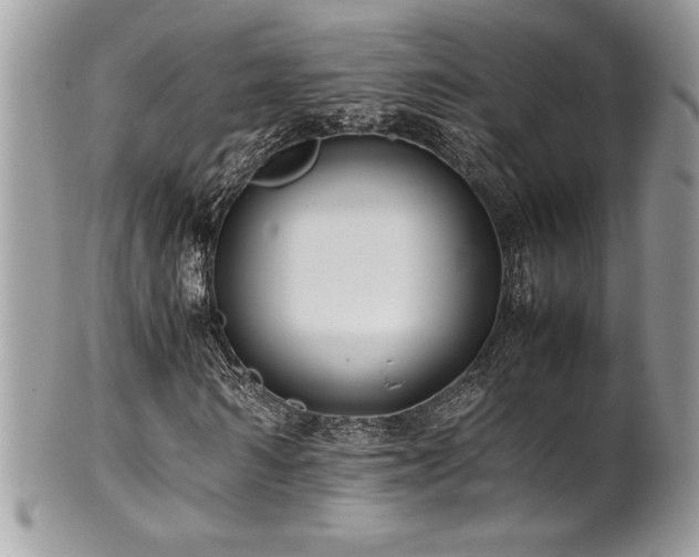 X0000102250962200807251318