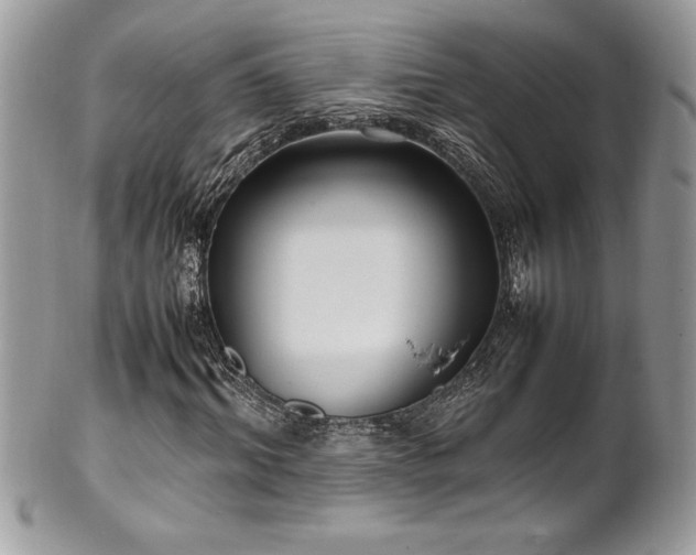 X0000102250964200807251318