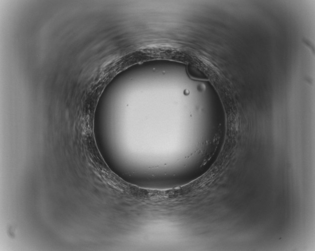 X0000102250965200807251318