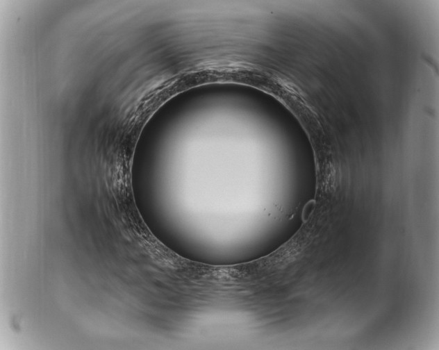 X0000102250966200807251318
