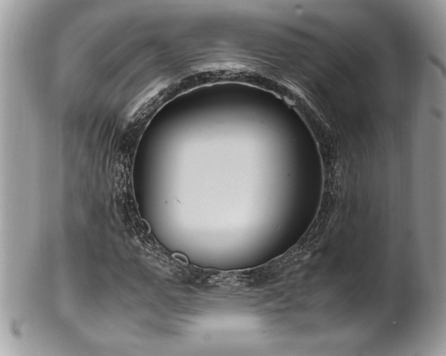 X0000102250967200807251318