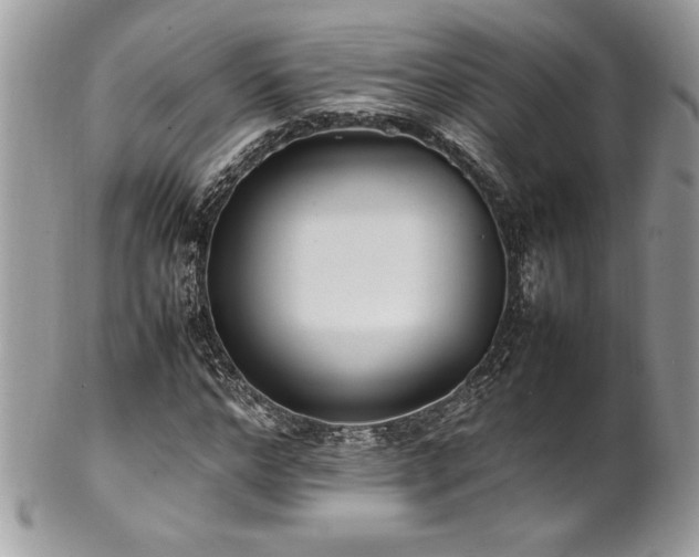 X0000102250968200807251318