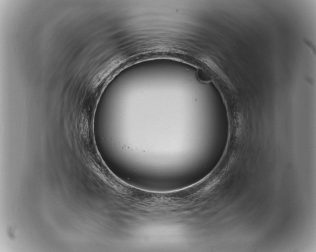 X0000102250969200807251318