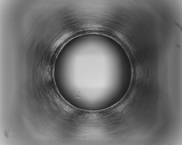 X0000102250970200807251318