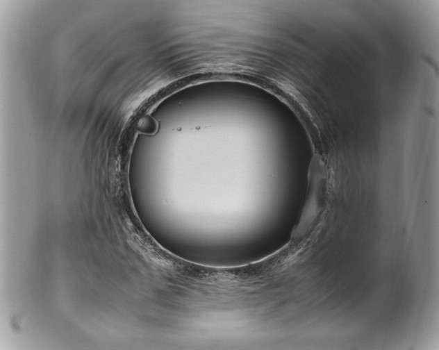 X0000102250971200807251318