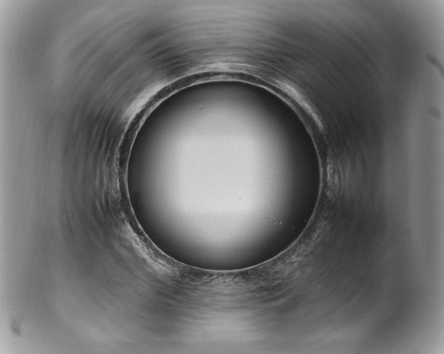 X0000102250972200807251318