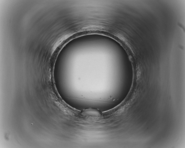 X0000102250973200807251318