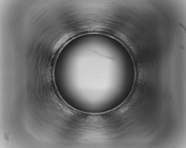 X0000102250978200807251318