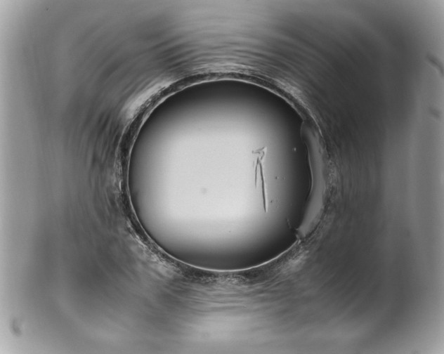 X0000102250979200807251318