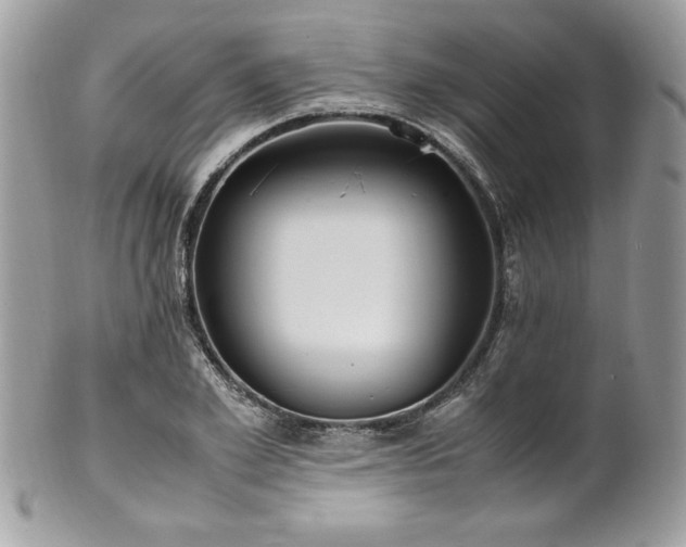 X0000102250981200807251318