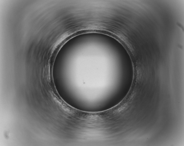 X0000102250982200807251318