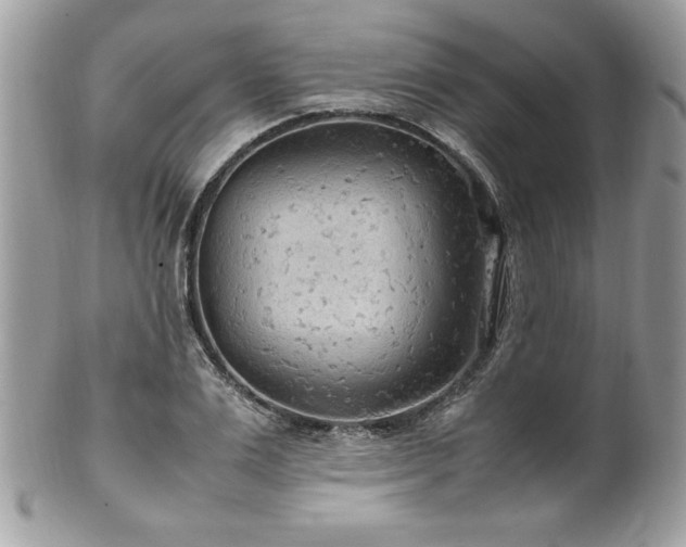 X0000102250983200807251318