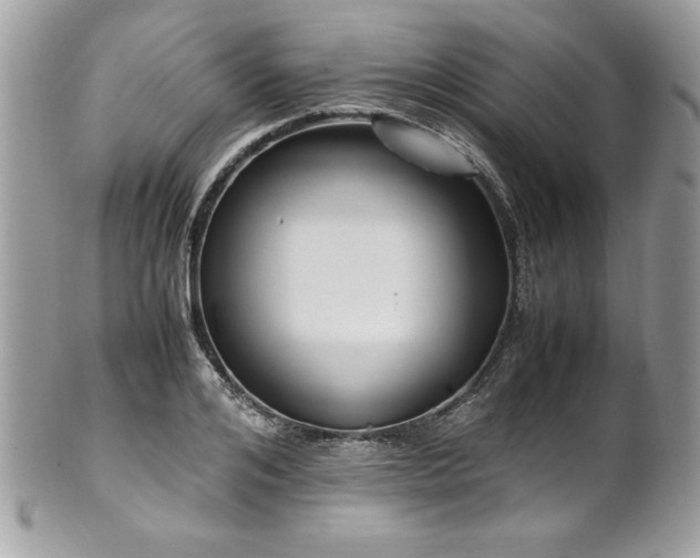 X0000102250984200807251318