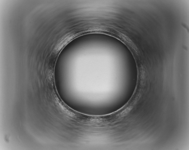 X0000102250985200807251318