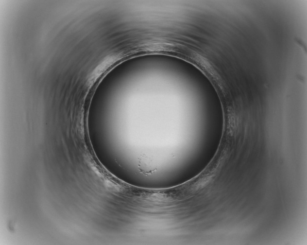X0000102250986200807251318