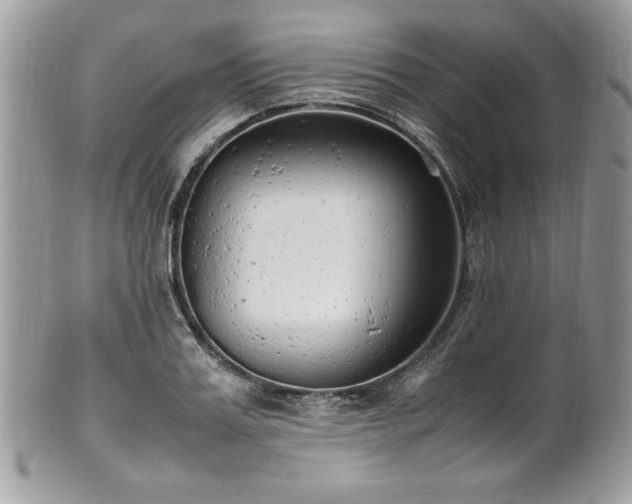 X0000102250987200807251318