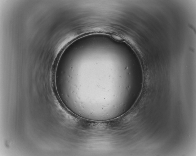 X0000102250991200807251318