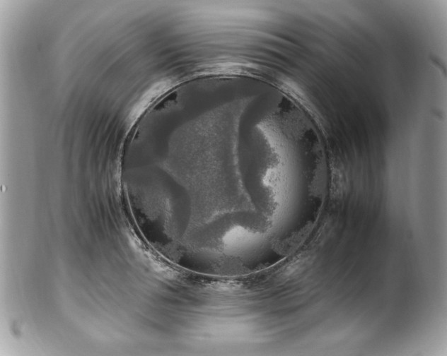 X0000102250994200807251318