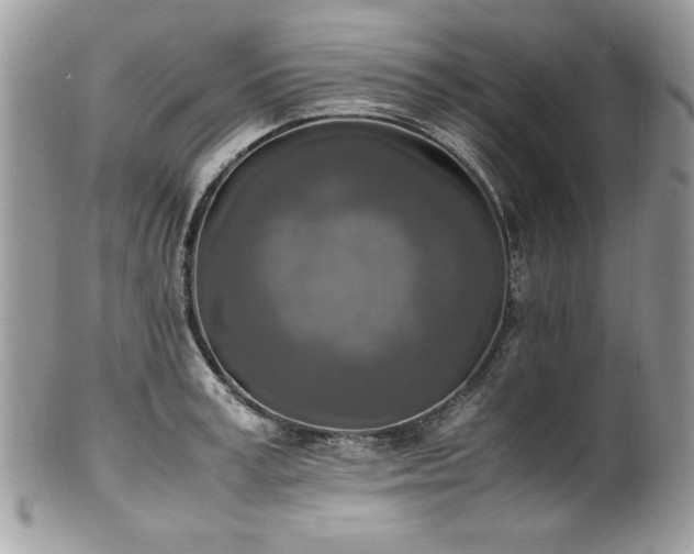 X0000102250995200807251318