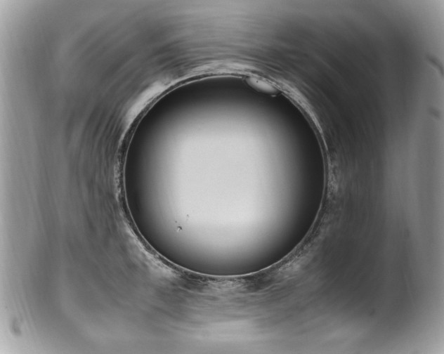 X0000102250997200807251318