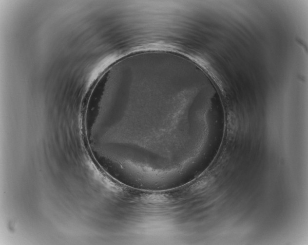 X0000102250998200807251318