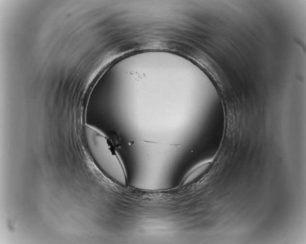 X0000102251000200807251318